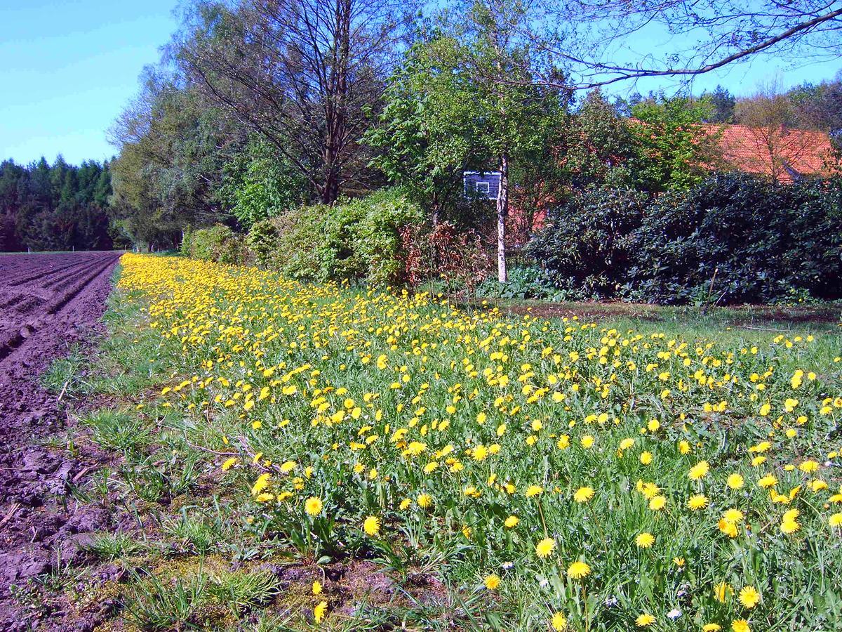 Ferienhof Gruber Wesseloh Exterior foto
